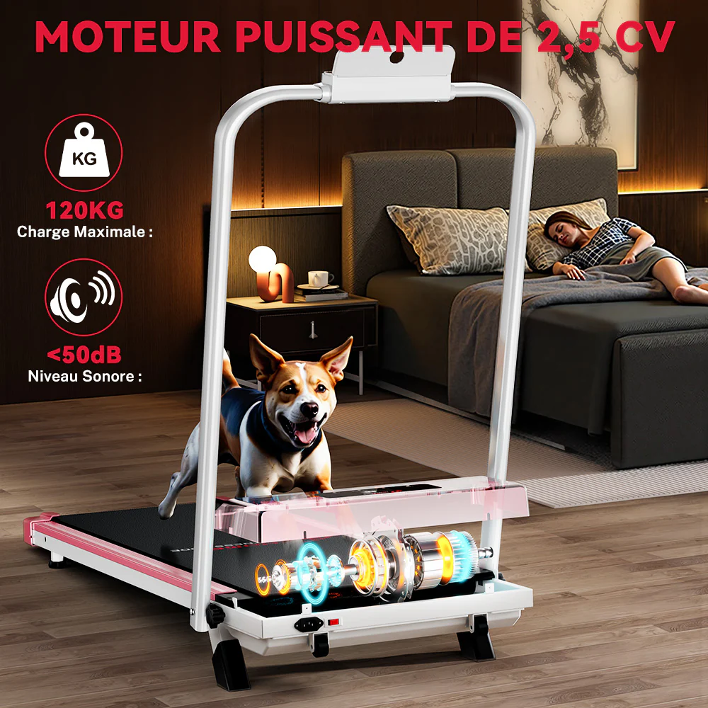 Image du produit 15